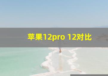 苹果12pro 12对比